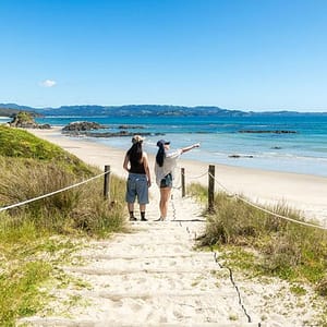 Bush Walk – Tawharanui Regional Park, 2026-03-07, 2026-03-07